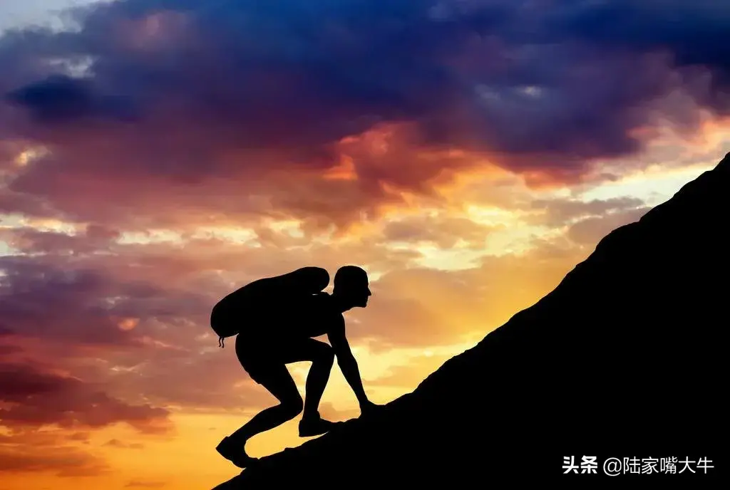 如何确保不被割一根韭菜的自我修养