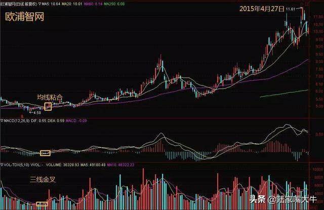 MACD不看金叉买死叉卖关键在这5个技巧此文说的很明白