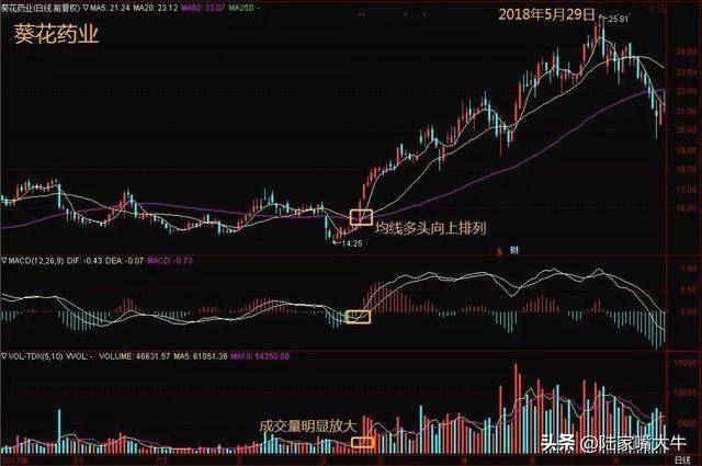 MACD不看金叉买死叉卖关键在这5个技巧此文说的很明白