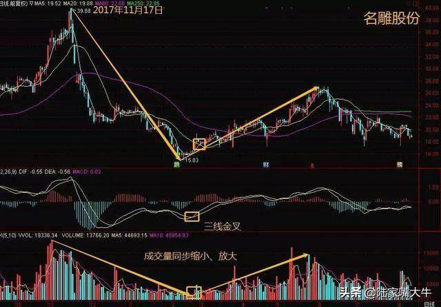 MACD不看金叉买死叉卖关键在这5个技巧此文说的很明白
