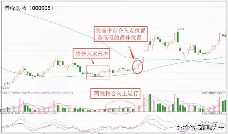 三种股市低吸入场法详解池底巨龙舍线腾空猪笼入水K线形态