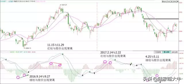 散户淘金术指标之王MACD短线波段背离都讲得清楚珍藏