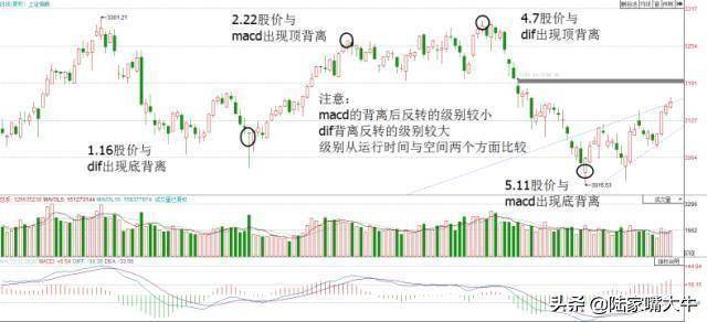 散户淘金术指标之王MACD短线波段背离都讲得清楚珍藏