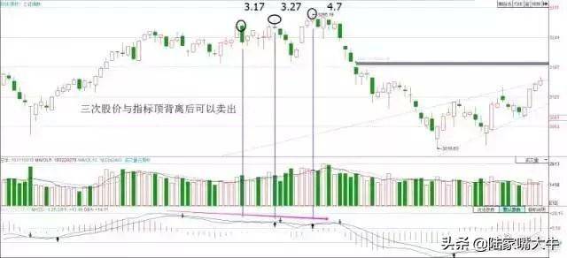 散户淘金术指标之王MACD短线波段背离都讲得清楚珍藏