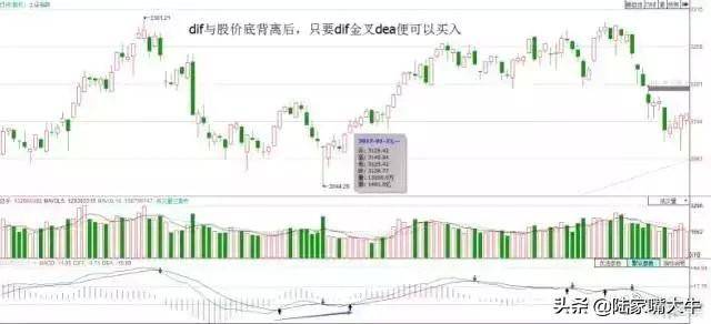 散户淘金术指标之王MACD短线波段背离都讲得清楚珍藏