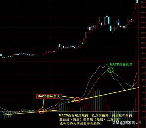 MACD指标之王趋势识别多空力量分析买卖点预判