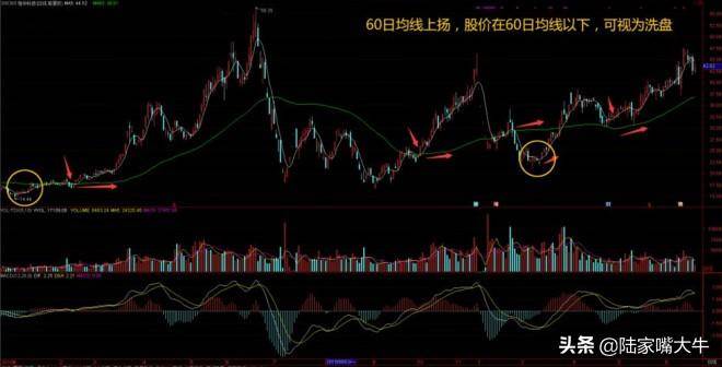 5日均线实战技巧巧用5日均线捕捉强势牛股