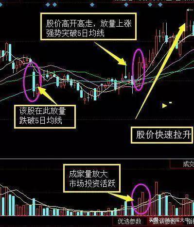 5日均线实战技巧巧用5日均线捕捉强势牛股