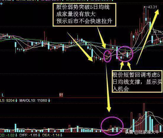 5日均线实战技巧巧用5日均线捕捉强势牛股