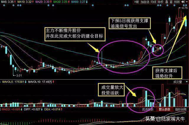 5日均线实战技巧巧用5日均线捕捉强势牛股