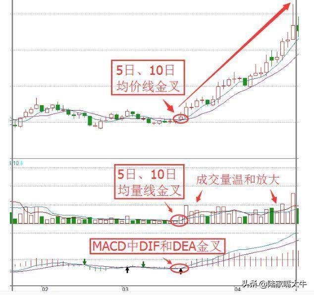 三叉组合战法三金叉见底买三死叉见顶抛