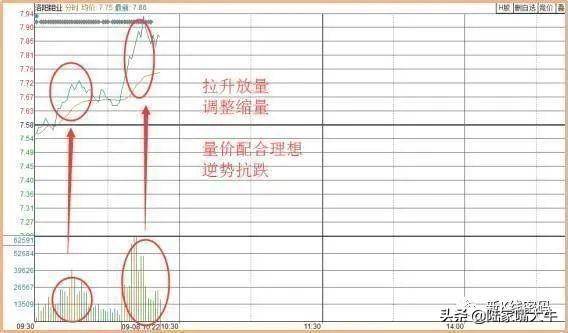 T0操作分时图