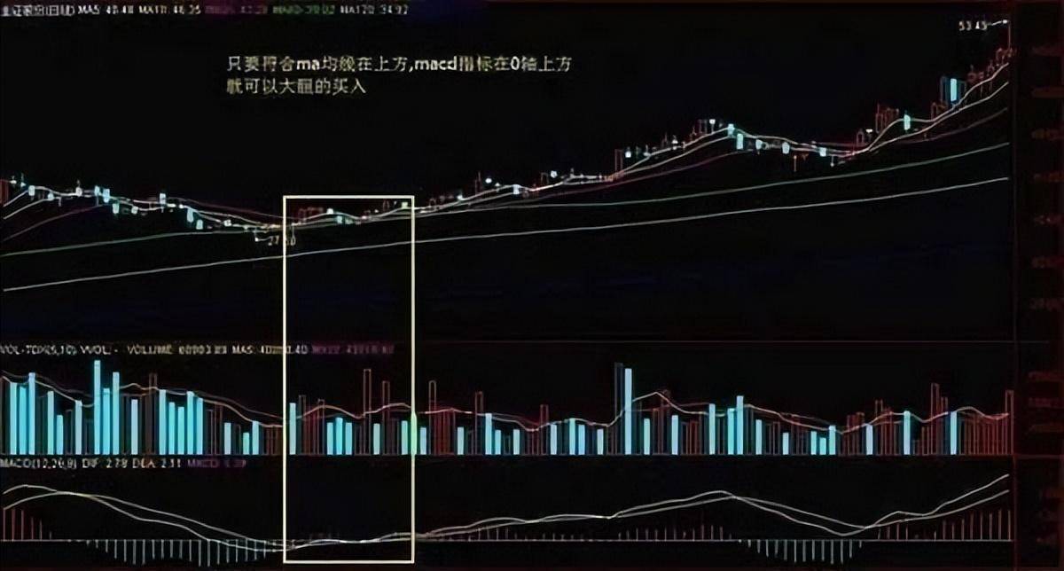 指标之王MACD一旦掌握遍地黄金等你取！