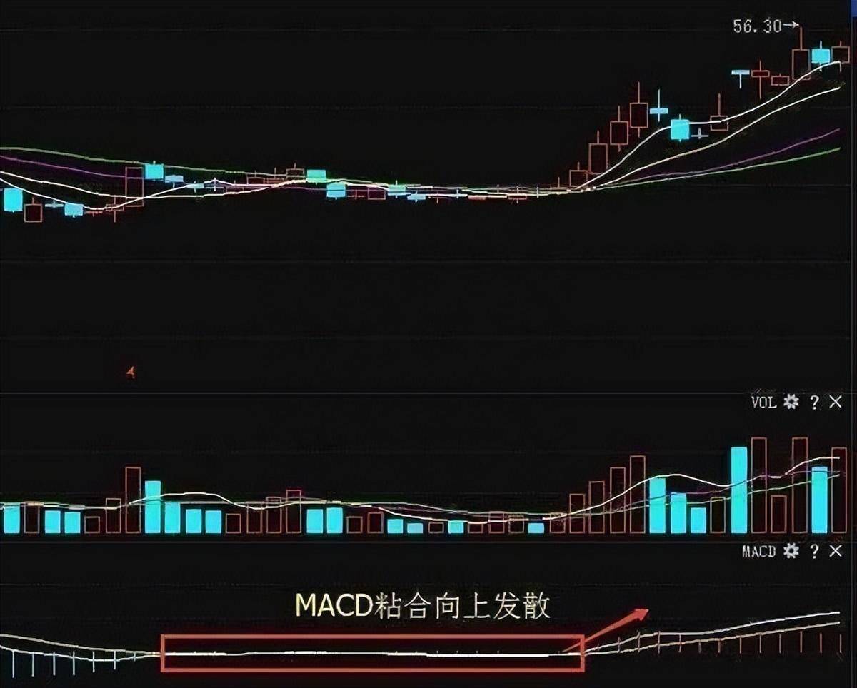 指标之王MACD一旦掌握遍地黄金等你取！