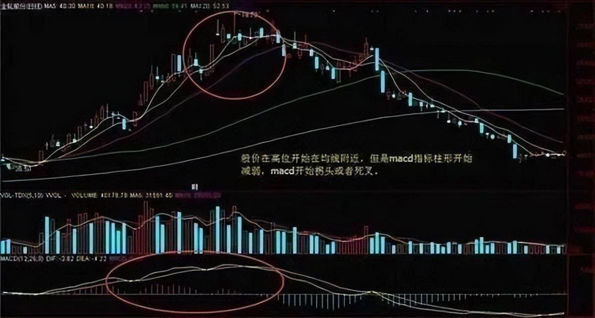指标之王MACD一旦掌握遍地黄金等你取！