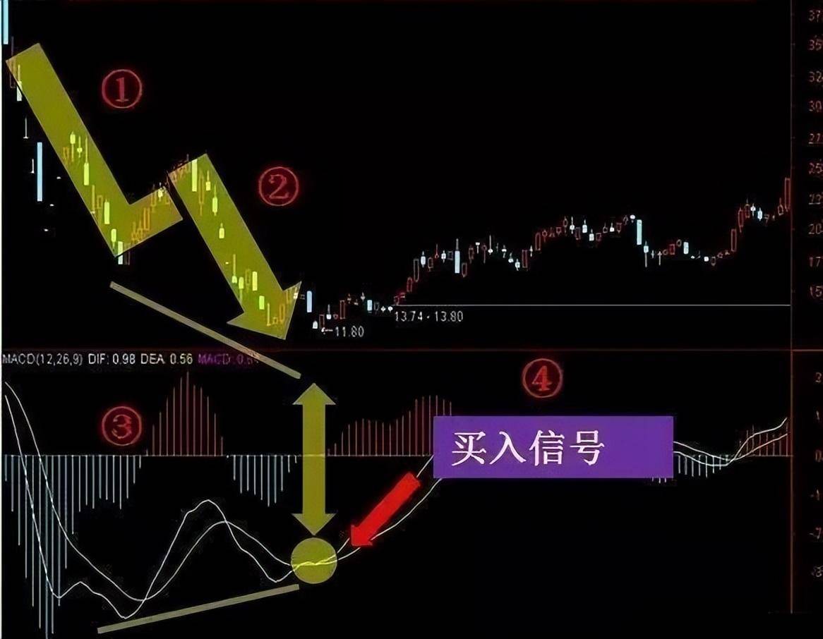 指标之王MACD一旦掌握遍地黄金等你取！