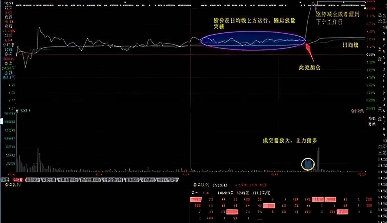 一位上海老股民长达10年持有一只票反复做T从10万赚到千万！