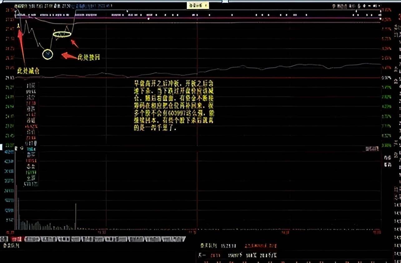 一位上海老股民长达10年持有一只票反复做T从10万赚到千万！