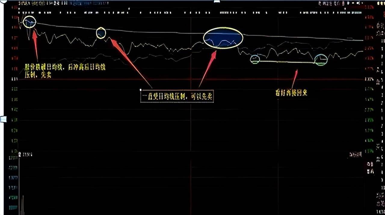 一位上海老股民长达10年持有一只票反复做T从10万赚到千万！