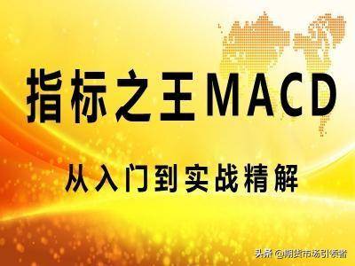 MACD图解！如何判断背离规避盲目买进卖出建议收藏
