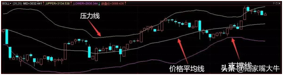 顶级基金经理的自述大多数散户都死在了布林线实战图解