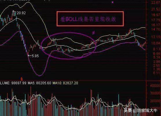 顶级基金经理的自述大多数散户都死在了布林线实战图解