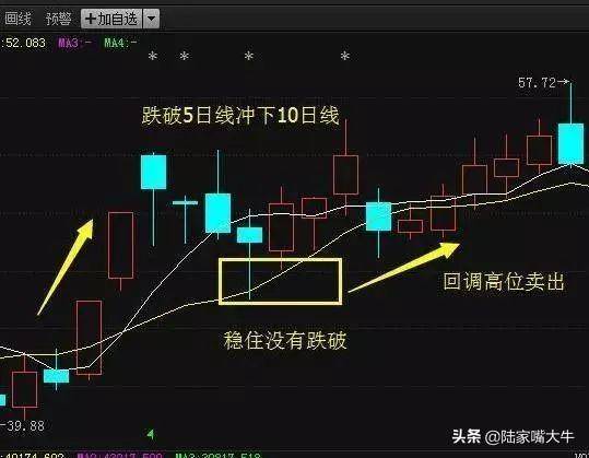 一文让你读懂5日均线此后买卖不再受主力蒙骗！实战图解
