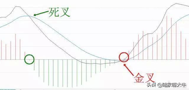 干货背熟了这些MACD技巧基本逢买就会涨此文仅分享一次
