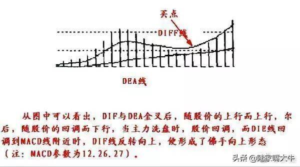 干货背熟了这些MACD技巧基本逢买就会涨此文仅分享一次