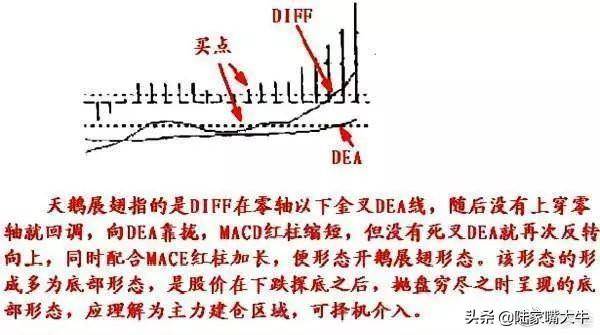 干货背熟了这些MACD技巧基本逢买就会涨此文仅分享一次