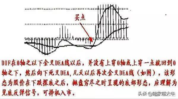 干货背熟了这些MACD技巧基本逢买就会涨此文仅分享一次