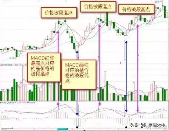 干货背熟了这些MACD技巧基本逢买就会涨此文仅分享一次