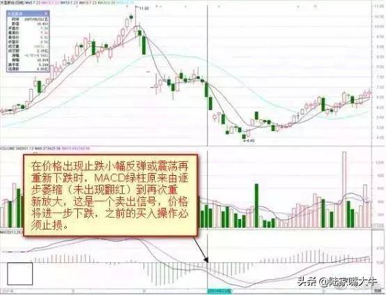 干货背熟了这些MACD技巧基本逢买就会涨此文仅分享一次