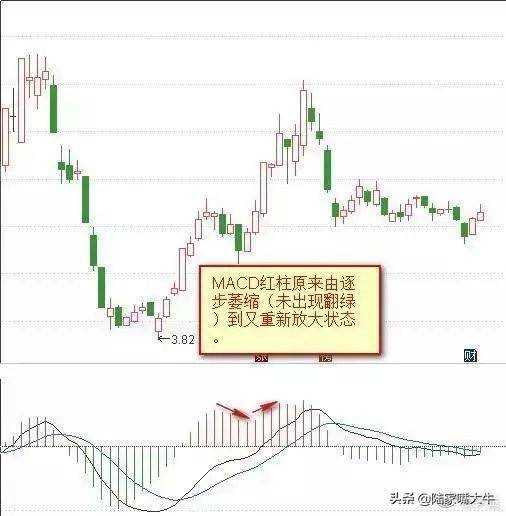 干货背熟了这些MACD技巧基本逢买就会涨此文仅分享一次