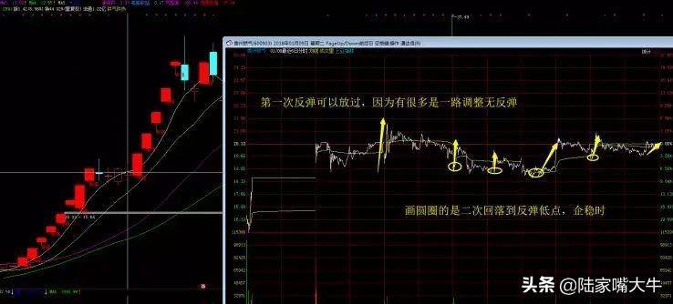 龙头低吸战法如何低吸龙头股选主升段的总龙焦点中的焦点