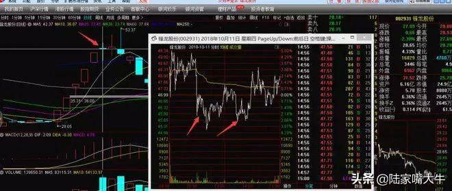 龙头低吸战法如何低吸龙头股选主升段的总龙焦点中的焦点
