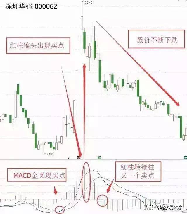 股市经典指标MACD主要用法至简才是大道悟透你就是赢家