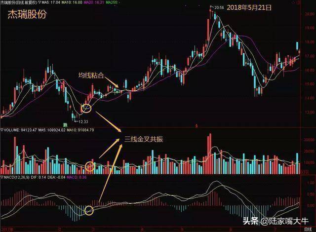 但凡出现MACD三线金叉共振形态大胆买入坐等主升浪拉升