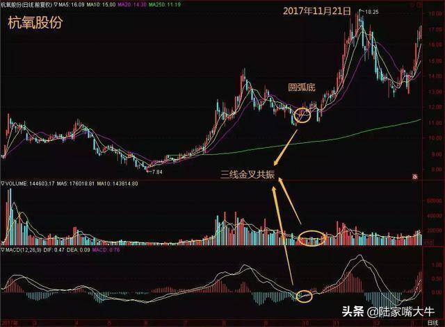 但凡出现MACD三线金叉共振形态大胆买入坐等主升浪拉升