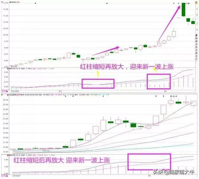 这是我见过最透彻的文章MACD的价值不在金叉死叉而在顶底背离