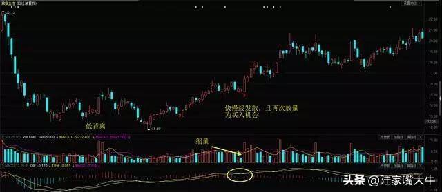 这是我见过最透彻的文章MACD的价值不在金叉死叉而在顶底背离