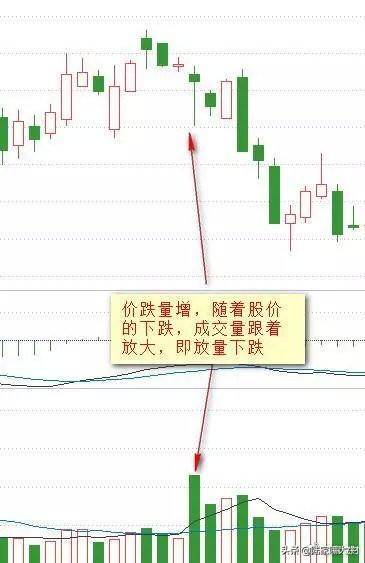 从小散到操盘手的血泪史成交量是唯一可靠指标字字皆肺腑之言