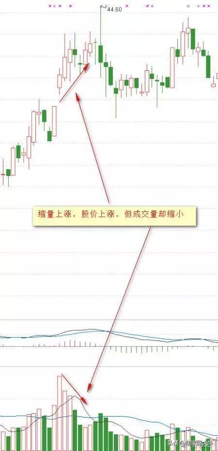从小散到操盘手的血泪史成交量是唯一可靠指标字字皆肺腑之言