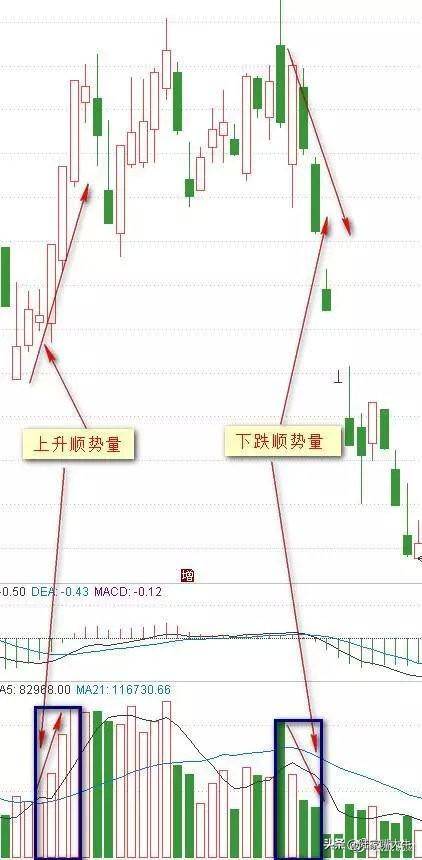 从小散到操盘手的血泪史成交量是唯一可靠指标字字皆肺腑之言