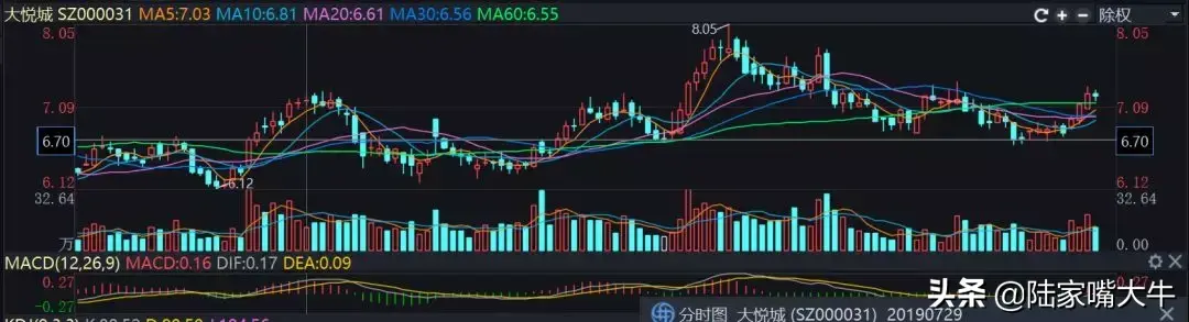 风来了猪也能飞起来如何把握市场预期机会到来时稳稳抓住