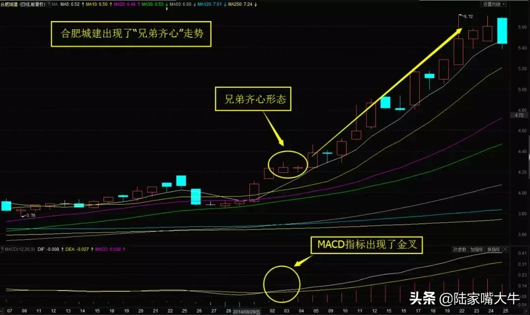 兄弟齐心K线形态主力洗盘手法遭曝光看完快收藏