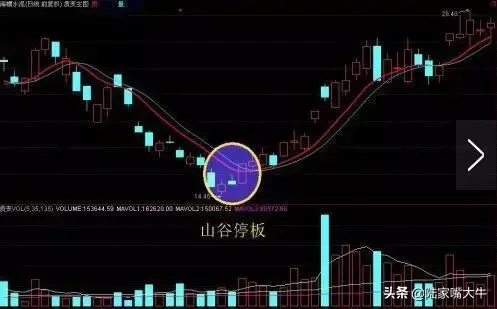 山谷停板抄大底拨云见日买入绝技低点的抢反弹技巧