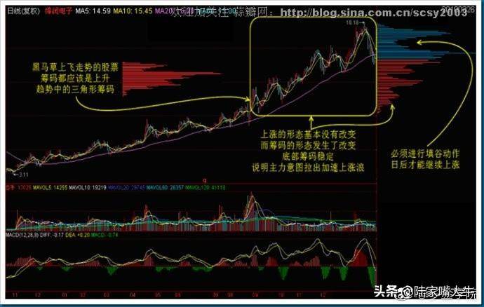 干货筹码分布运用详解大全这是我见过分析得最透彻的文章