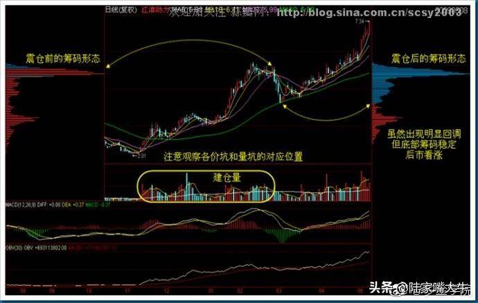 干货筹码分布运用详解大全这是我见过分析得最透彻的文章