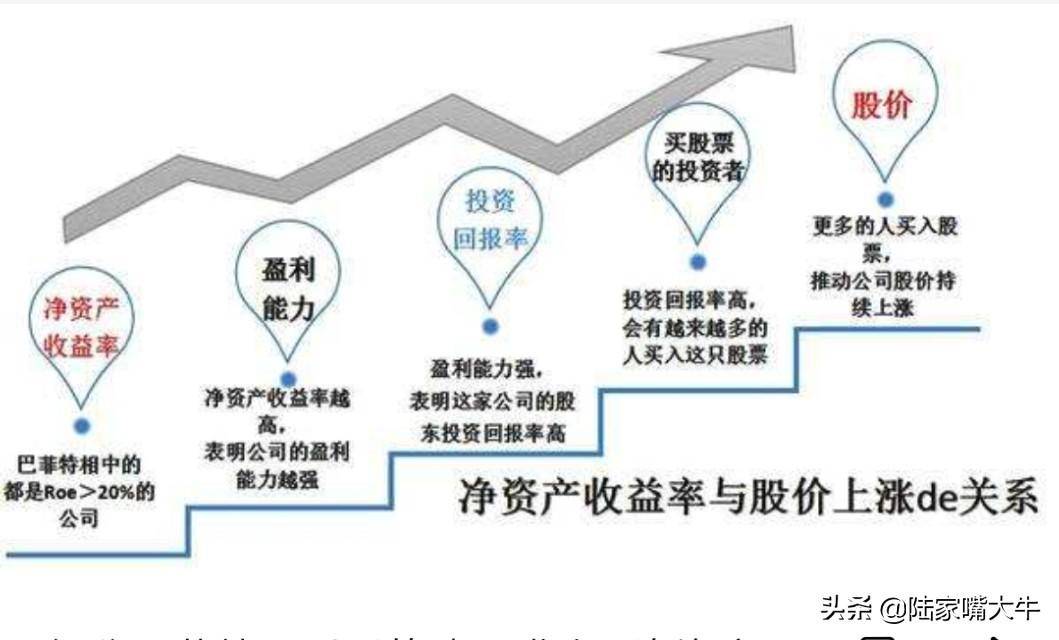价值投资的两个困惑ROE和成长性哪个更重要集中持股OR分散投资
